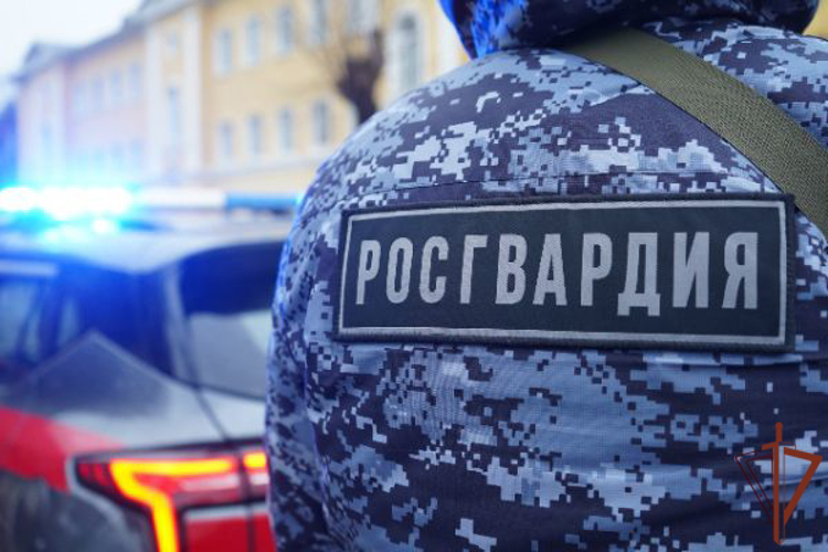 Росгвардейцы задержали рецидивистов, незаконно проникших в детский центр в Подмосковье (видео)