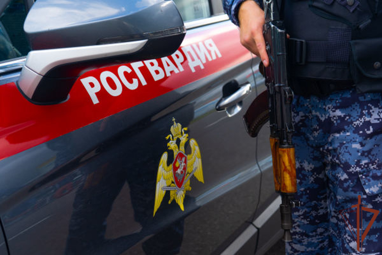 В Балашихе сотрудники Росгвардии задержали дебошира, напавшего на посетителя городского парка (видео)