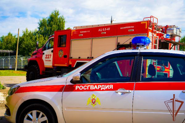 Сотрудники Росгвардии приняли участие в межведомственных учениях по нейтрализации угроз на объекте энергетики в Подмосковье