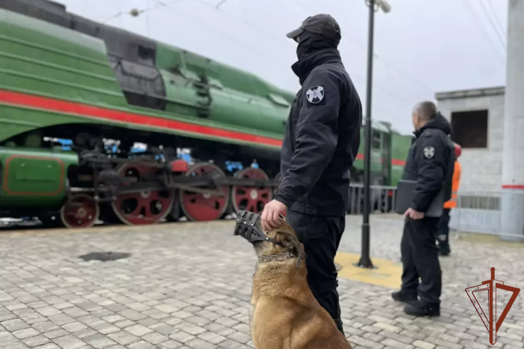 На  Урале Росгвардия обеспечила охрану порядка на памятных и спортивных мероприятиях