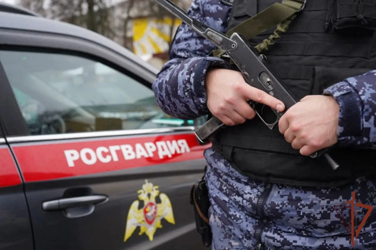 В Подмосковье росгвардейцы пресекли незаконный оборот наркотиков в крупном размере (видео)