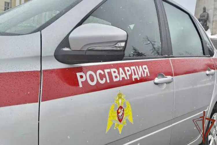 Сотрудники Росгвардии задержали подозреваемого в убийстве во Владимирской области