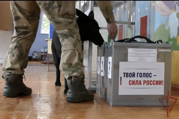 Накануне Единого дня голосования росгвардейцы провели проверки избирательных участков в Сибири