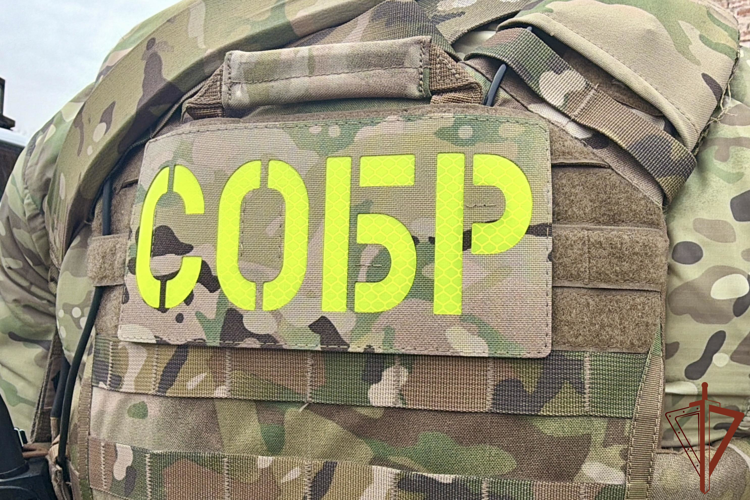 При силовой поддержке Росгвардии в Астрахани задержана преступная группировка, связанная с мошенничеством и похищением
