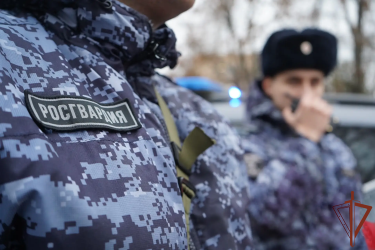 В Пензе росгвардейцы вывели из горящего дома 8 человек, включая ребенка (видео)