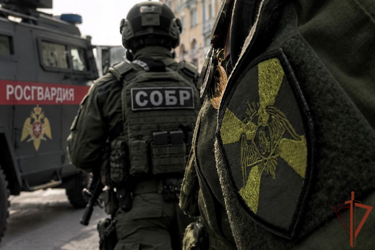 В Кабардино-Балкарии при силовой поддержке Росгвардии пресечены факты незаконного хранения наркотических средств в крупном размере