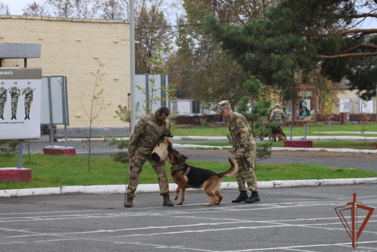 Военнослужащие и сотрудники Росгвардии на Урале провели военно-патриотические мероприятия для молодежи