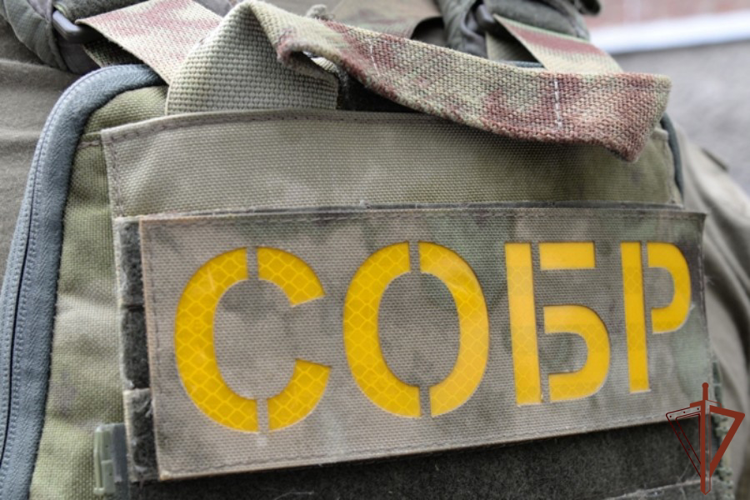 При содействии СОБР Росгвардии в Красноярске задержан подозреваемый в преступлении против половой неприкосновенности несовершеннолетней