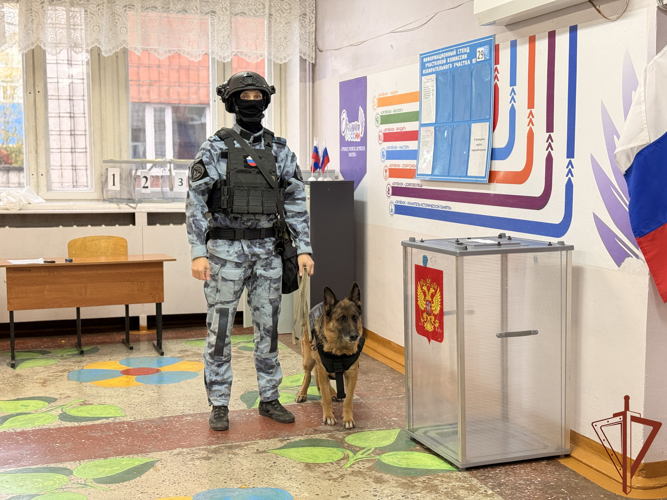 Росгвардейцы обеспечили безопасность проведения единого дня голосования на северо-западе страны