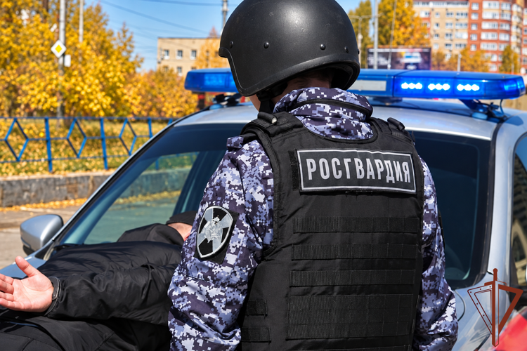 В Рязани росгвардейцы по горячим следам задержали подозреваемого в краже из квартиры