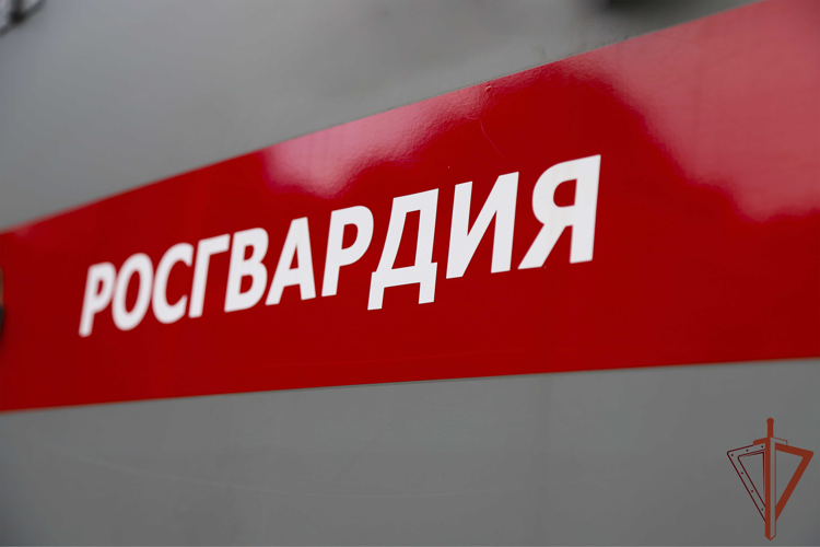 В Тульской области при силовой поддержке спецназа Росгвардии пресечен незаконный оборот табачной продукции
