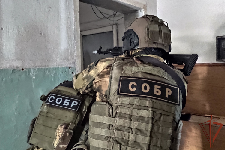 При содействии СОБР Росгвардии за махинации с землей задержан председатель товарищества в Севастополе.