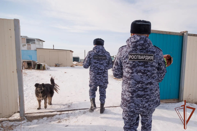 В рамках ведомственной акции «Добрые дела с Росгвардией» в регионах Сибири реализованы волонтёрские и социальные проекты