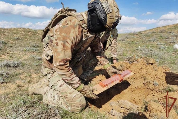 Боеприпасы времен Великой Отечественной войны уничтожили взрывотехники Росгвардии в Калмыкии