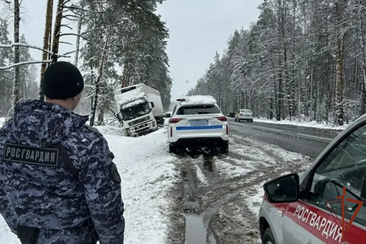 Росгвардейцы помогли пострадавшим на месте крупного ДТП в Подмосковье (видео)