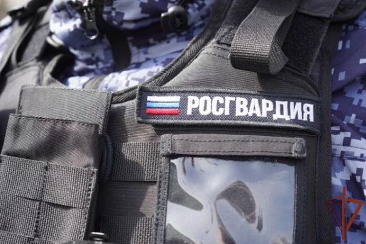 Росгвардейцы по горячим следам задержали рецидивистов, напавших на охранника магазина в Подмосковье (видео)