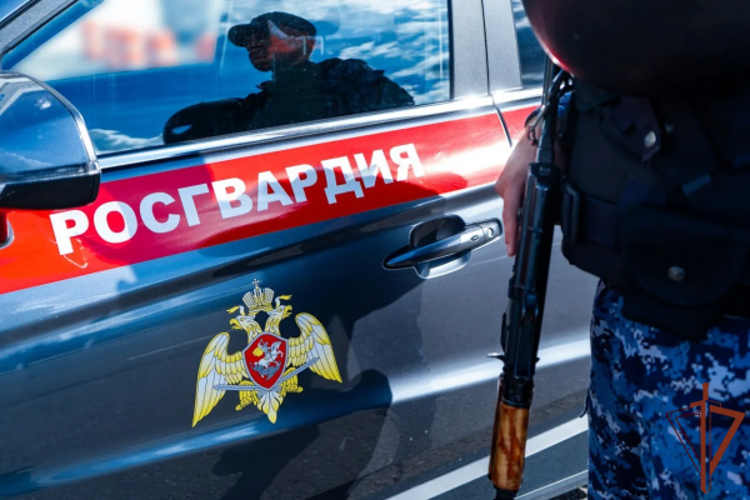 В Москве росгвардейцы задержали мужчину, угрожавшего бригаде скорой помощи (видео)