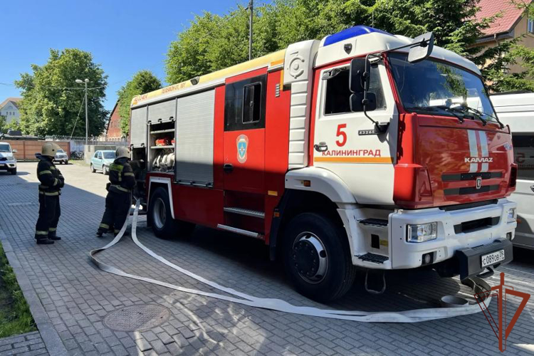 Пожарно-тактическое занятие провели сотрудники Росгвардии и МЧС в Калининграде