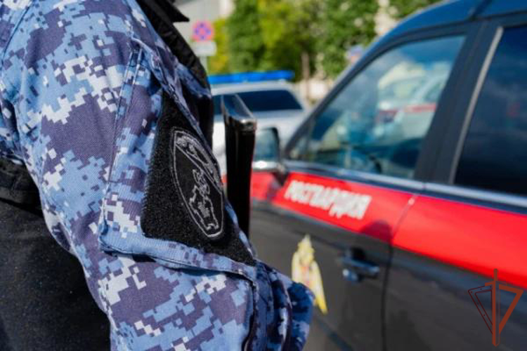 Росгвардейцы задержали в Подмосковье мужчину, находившегося в федеральном розыске (видео)
