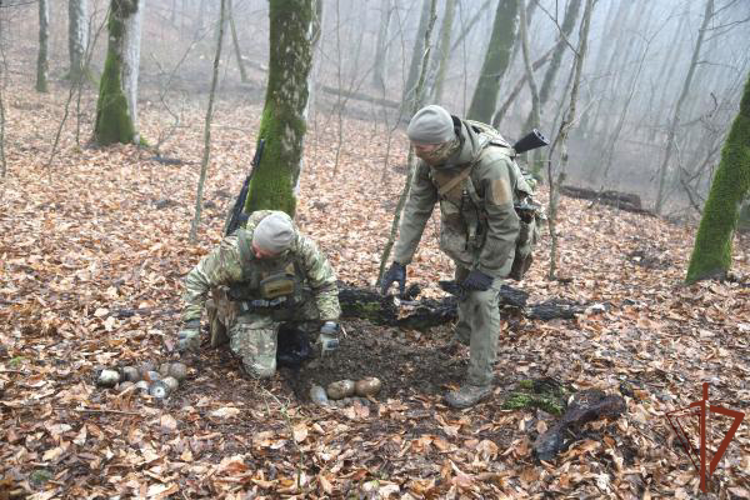 В Чеченской Республике подразделения ОГВ(с) обезвредили боеприпасы