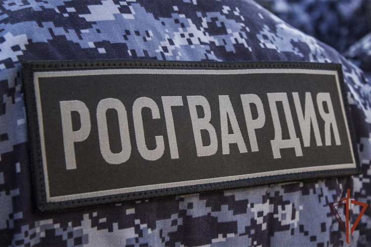 В Ставрополе росгвардейцы своевременно доставили в больницу потерявшую сознание девушку