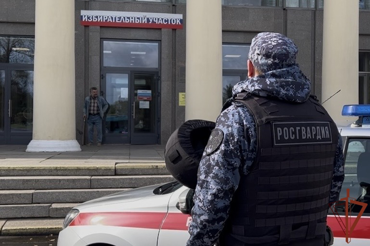 Нетрезвых нарушителей порядка около избирательного участка в Санкт-Петербурге задержали росгвардейцы (ВИДЕО)