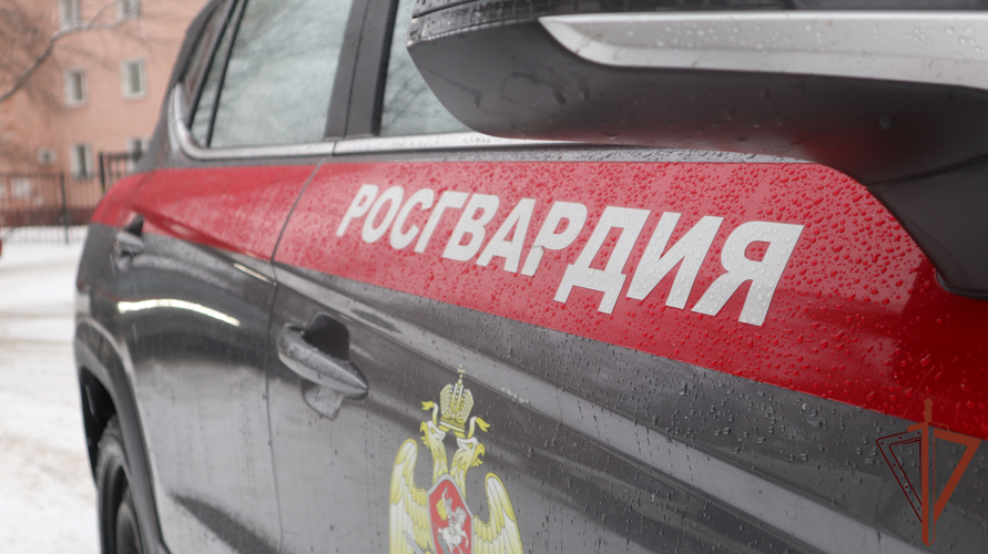 Росгвардейцы задержали подозреваемую в нанесении ножевых ранений в Подмосковье (видео)