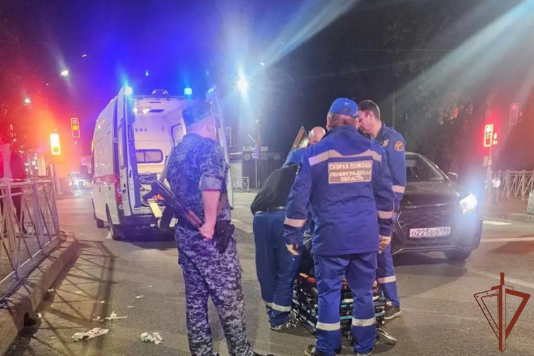 В Ленобласти росгвардейцы оказали помощь пострадавшим в ДТП на пешеходном переходе