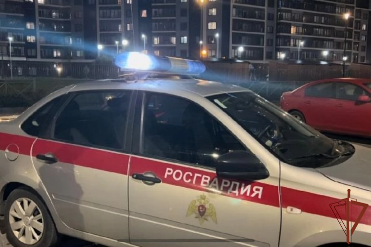 В Санкт-Петербурге наряд Росгвардии задержал мужчину, подозреваемого в особо тяжком преступлении