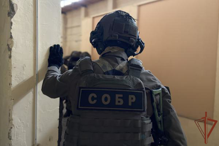 Во Владимирской области при содействии спецназа Росгвардии задержан подозреваемый в реабилитации нацизма (видео)