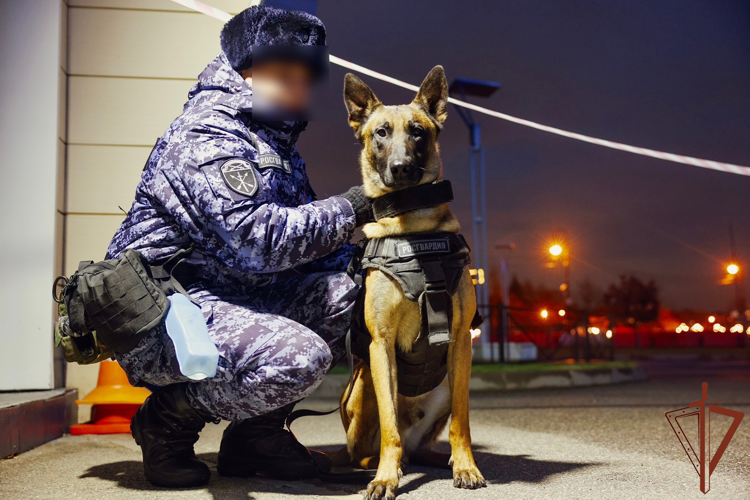 Росгвардейцы обеспечили безопасность матча РПЛ в Санкт-Петербурге