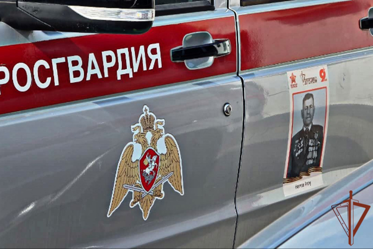 Сотрудники Росгвардии присоединились ко всероссийской акции «Бессмертный автополк» в Чеченской Республике