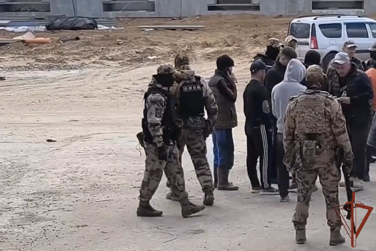 При силовой поддержке Росгвардии прошли миграционные рейды в Воронежской области