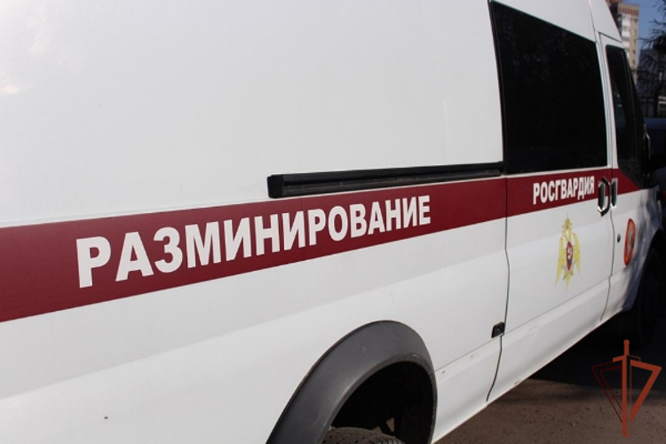 Взрывотехники Росгвардии идентифицировали боеприпасы, обнаруженные жительницей Северной Осетии