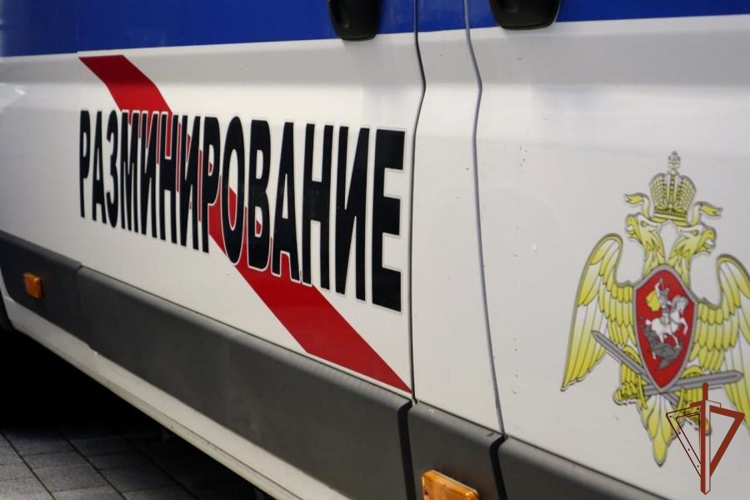 В Ленинградской области взрывотехники ОМОН Росгвардии обследовали боеприпас времён войны