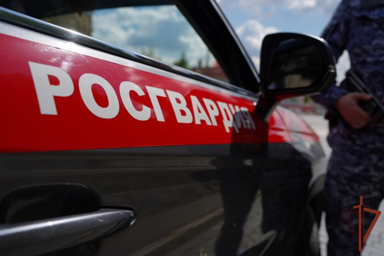 На востоке столицы росгвардейцы задержали дебоширов в хостеле (видео)