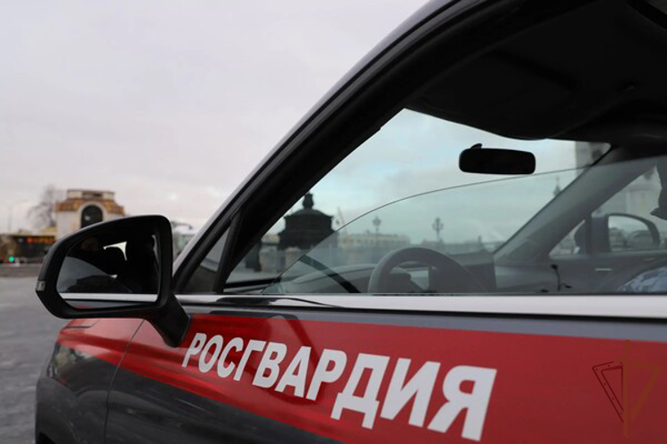 В Москве росгвардейцы задержали агрессивного постояльца хостела (видео)