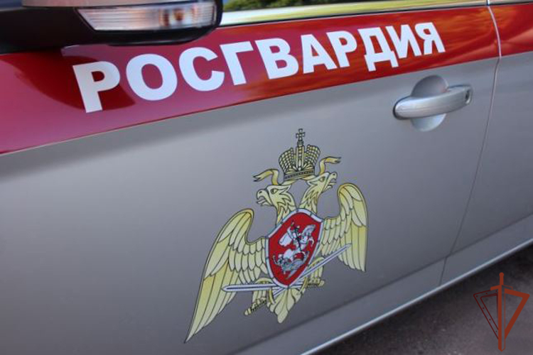 В Свердловской области росгвардеец пресёк опасные действия водителя