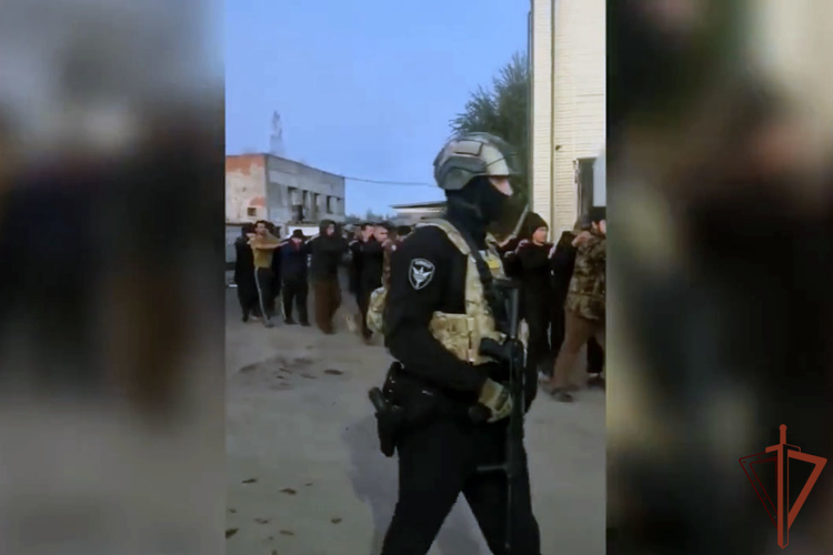 В Воронежской области при силовой поддержке Росгвардии состоялась профилактическая операция «Нелегал-2026»