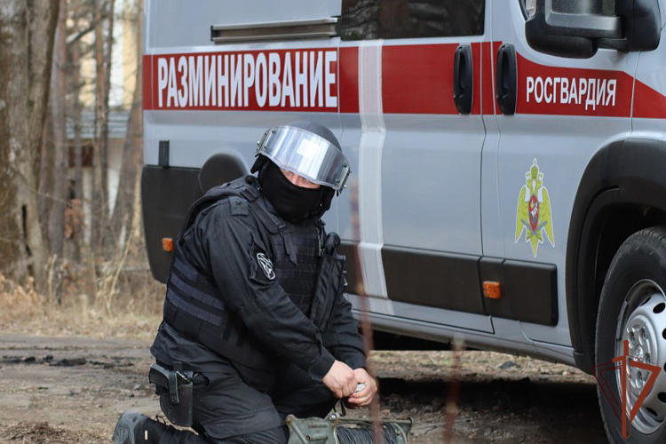 В Северной Осетии взрывотехники Росгвардии обезвредили обнаруженный местным жителем боеприпас