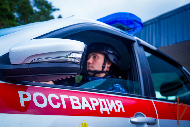 Росгвардейцы пресекли незаконный оборот наркотиков в значительном размере в Подмосковье (видео)