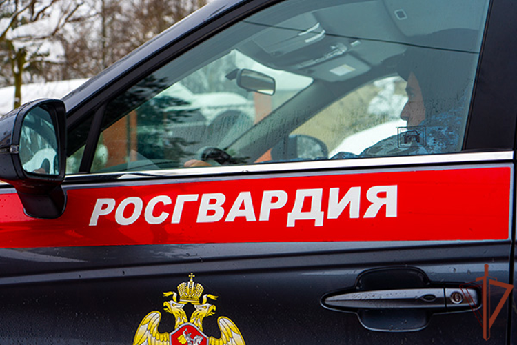 Росгвардейцы пресекли кражу антиквариата из охраняемого домовладения в Подмосковье (видео)