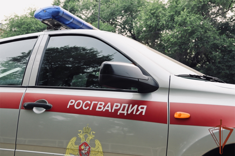 На Дальнем Востоке сотрудники вневедомственной охраны Росгвардии пресекли хулиганские действия в общественных местах