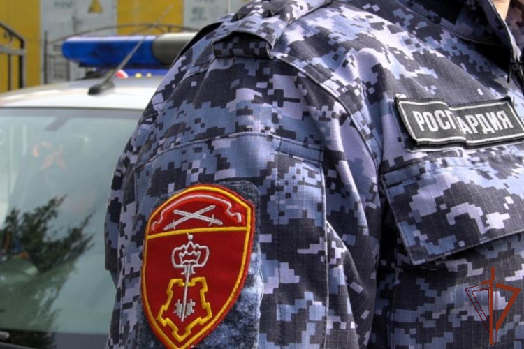В Архангельской области росгвардейцы помогли найти пенсионера, страдающего потерей памяти