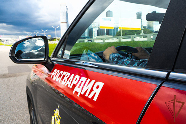 Росгвардейцы пресекли кражу сейфа из частного домовладения в Подмосковье (видео)