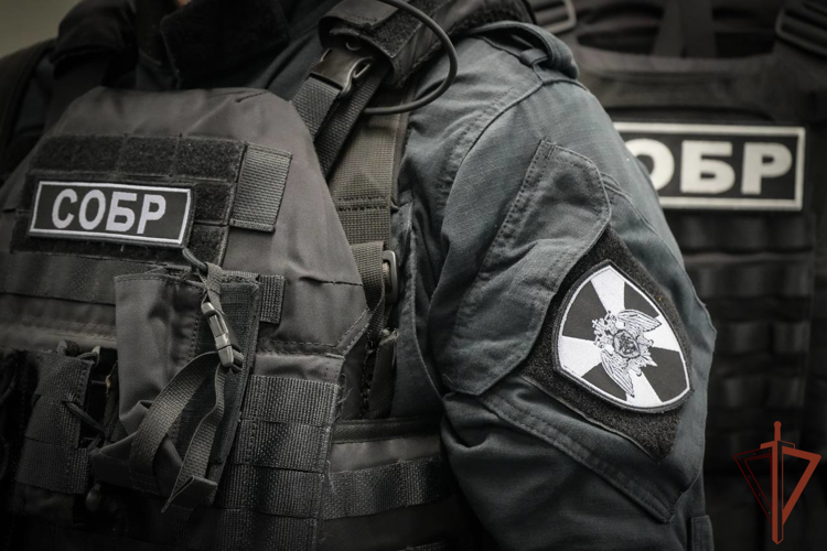 При содействии спецназа Росгвардии задержаны подозреваемые в отравлении молодых людей с летальным исходом в Солнечногорске (видео)