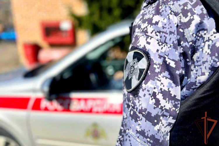 Росгвардейцы задержали рецидивистку, подозреваемую в нанесении ранений ножницами в Подмосковье (видео)