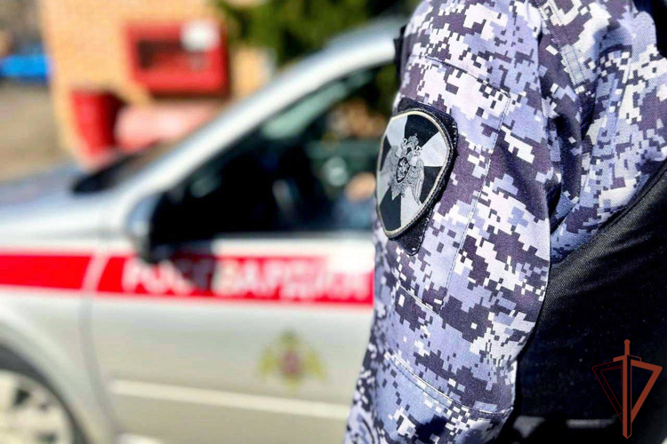 Росгвардейцы по горячим следам задержали подозреваемого в нанесении ножевых ранений в Подмосковье (видео)