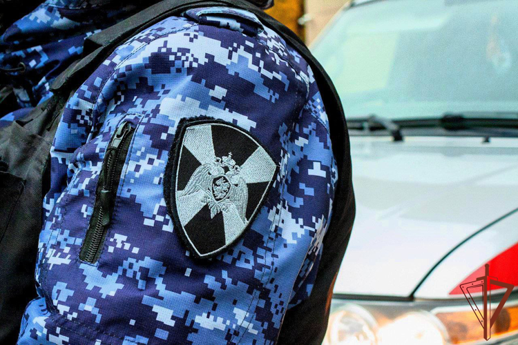 В Московской области росгвардейцы задержали рецидивистку за нанесение ранений женщине (видео)