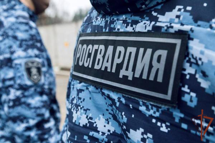 Росгвардейцы в Подмосковье задержали рецидивистов, находящихся в федеральном розыске